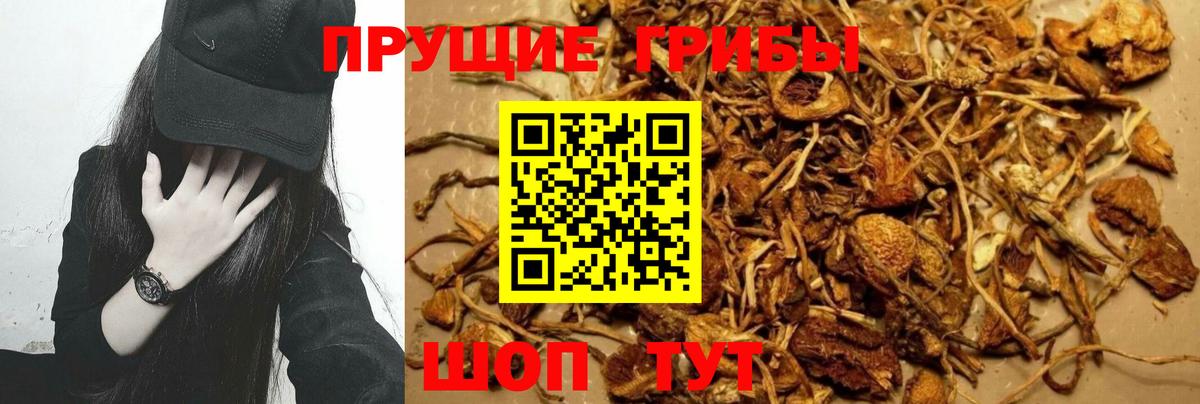 Псилоцибиновые грибы Magic Shrooms  Вход с VPN  Галлюциногенные грибы GOLDEN TEACHER  Тюмень 